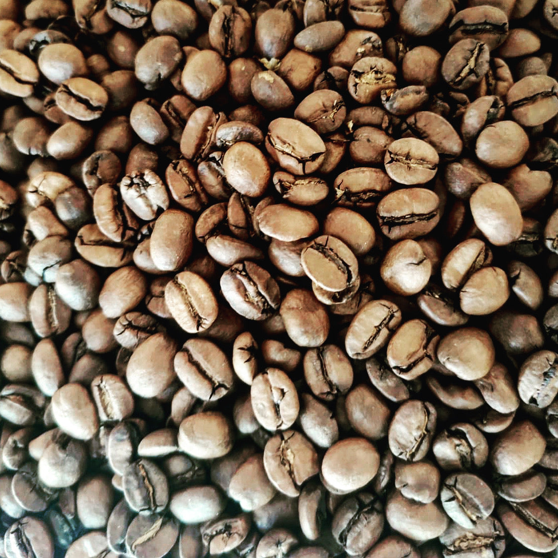 specialty coffee kavantura